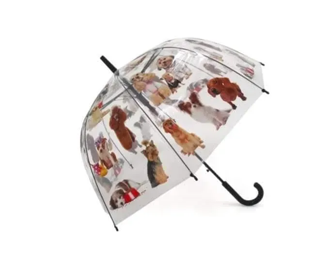Parapluie